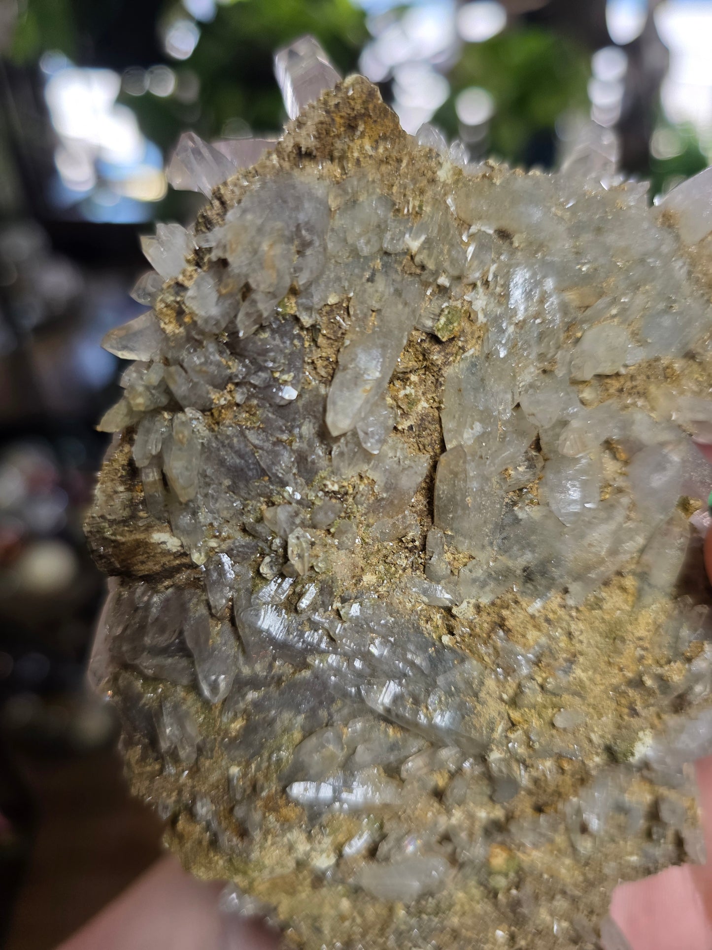 Vera Cruz Amethyst Specimen