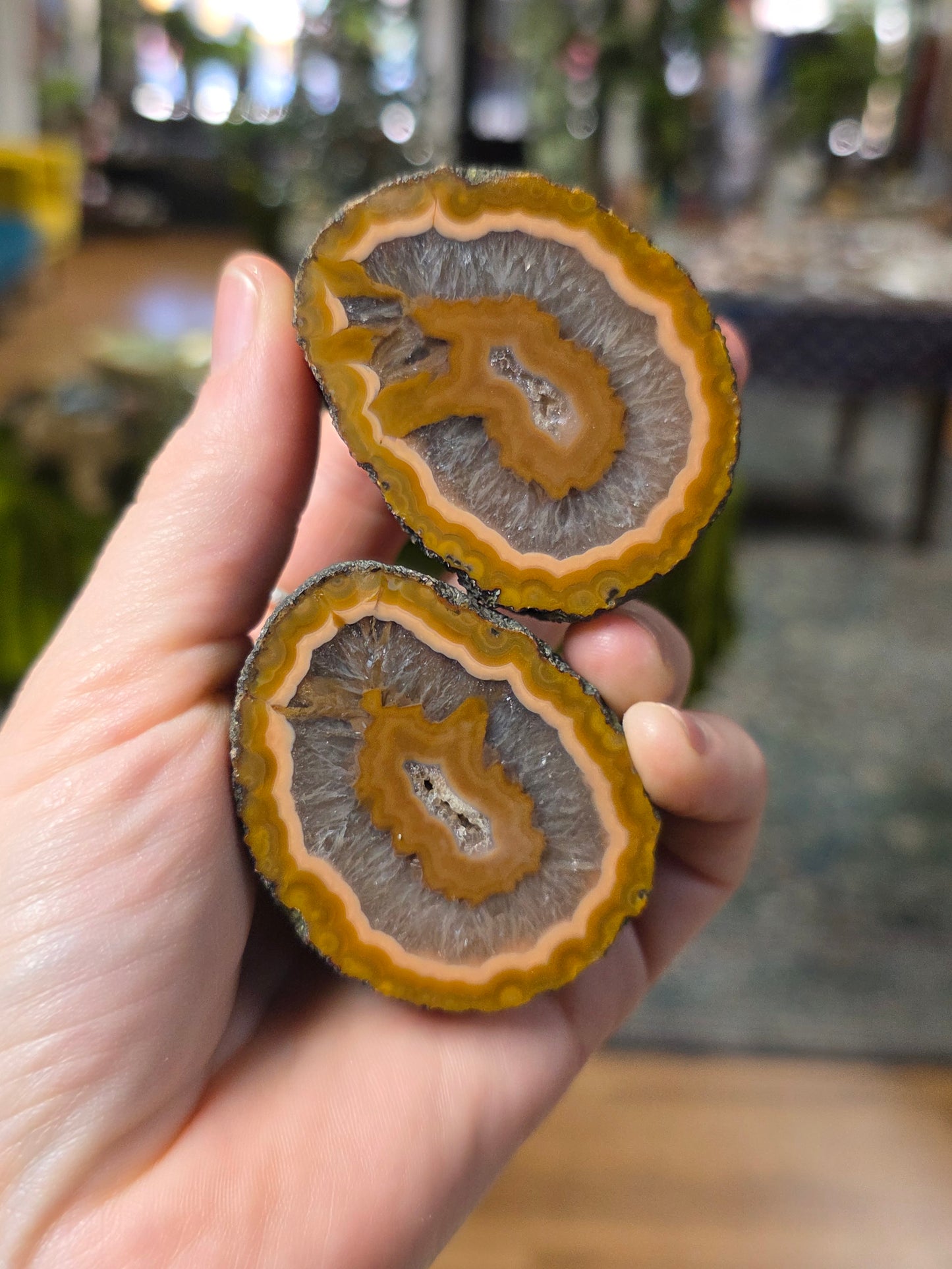 Fighting Blood Agate