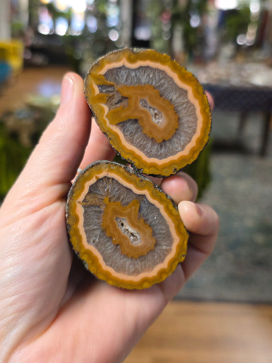 Fighting Blood Agate