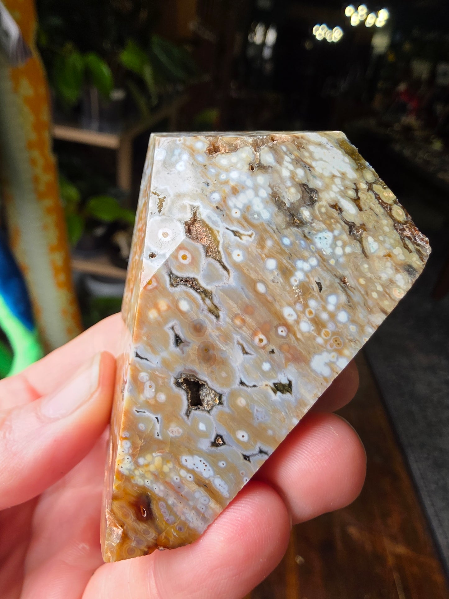 Ocean Jasper Freeform