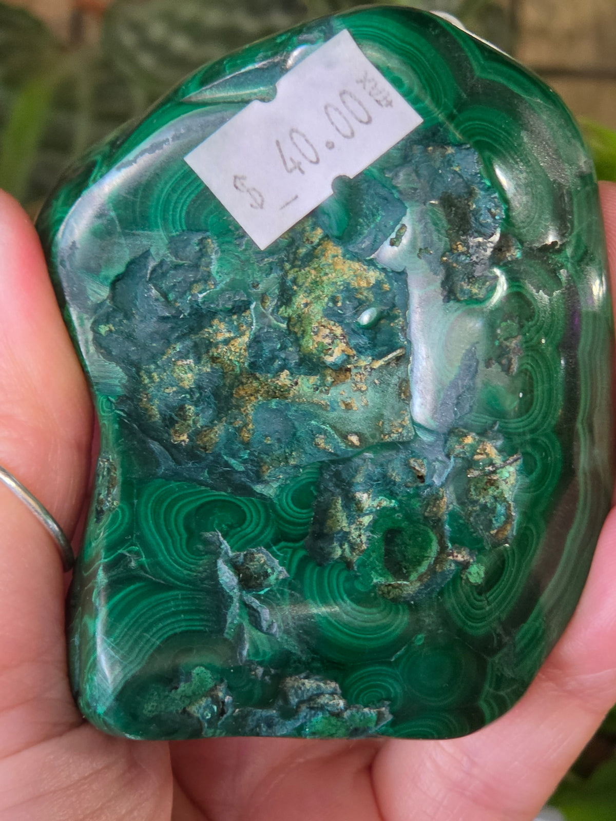 Polished Malachite Freeform