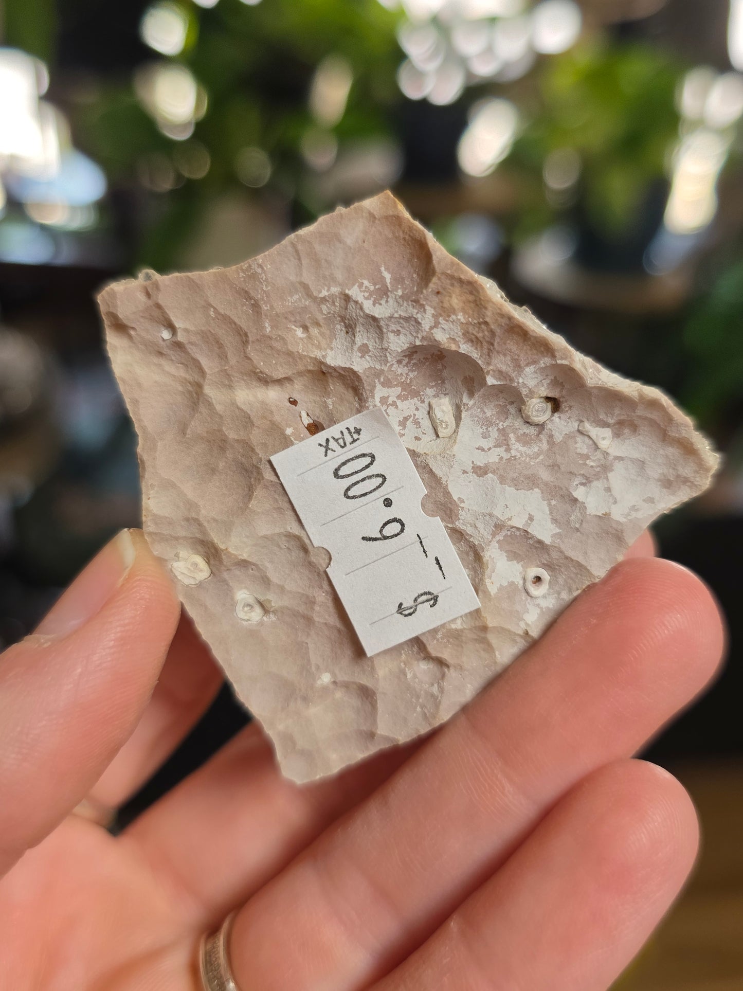 Druzy Lace Agate