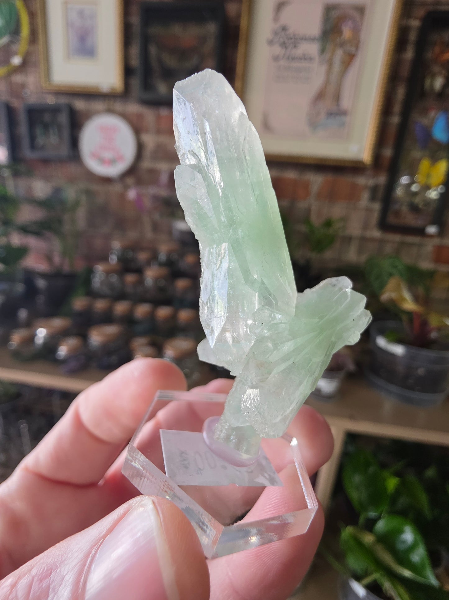 Green Apophyllite