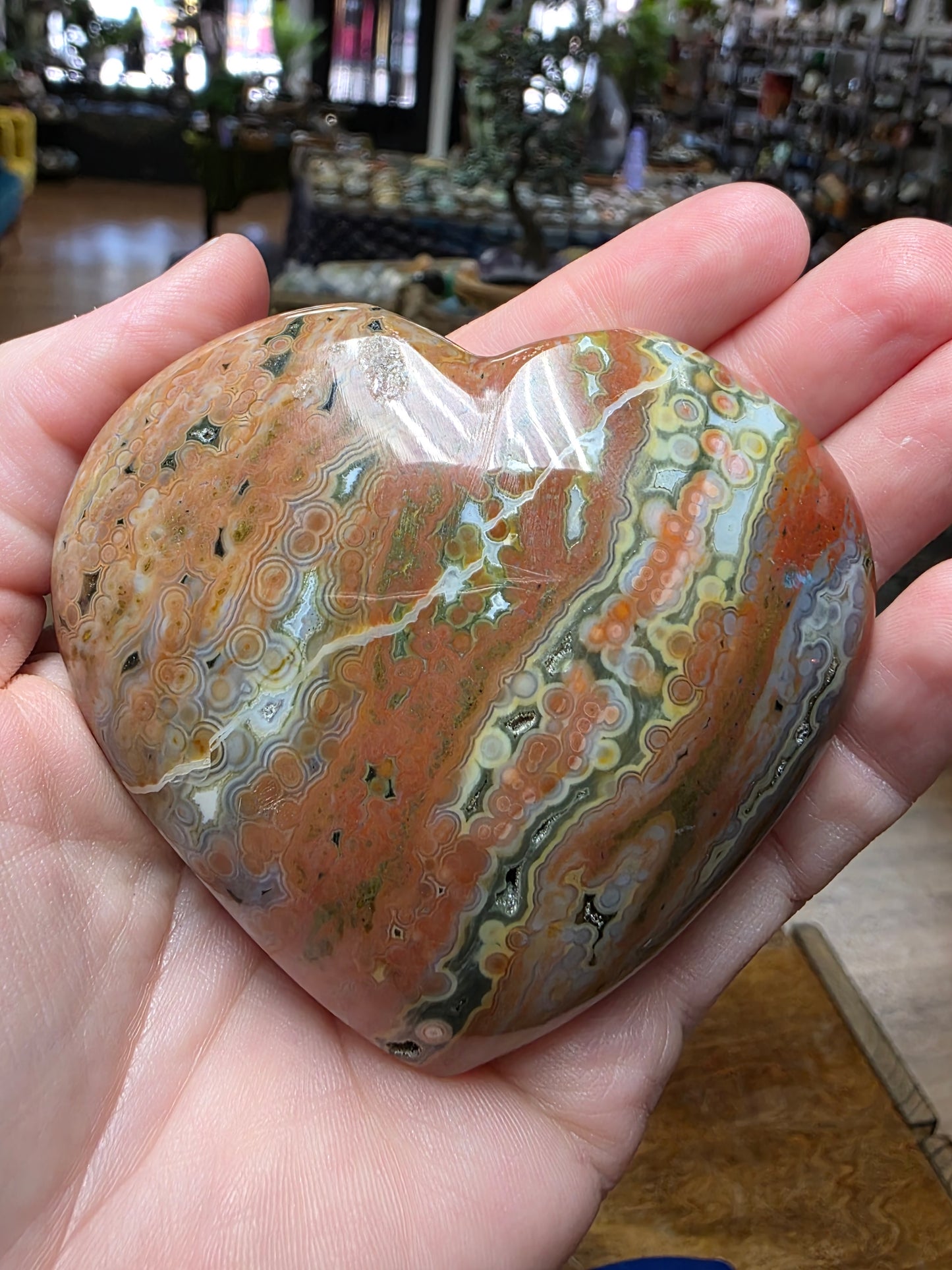 Veinless Ocean Jasper Palmstone