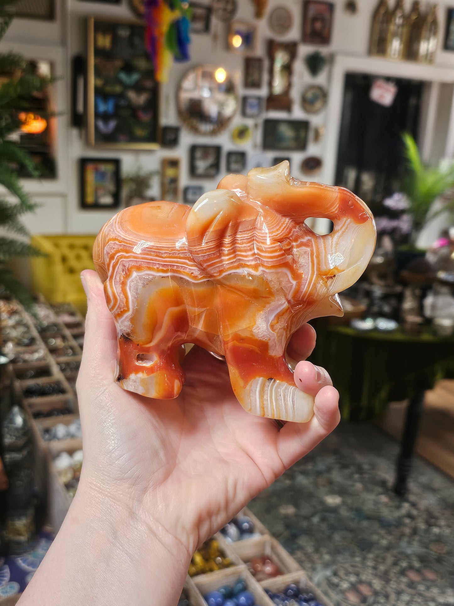 Carnelian Sardonyx Agate Elephant Carving