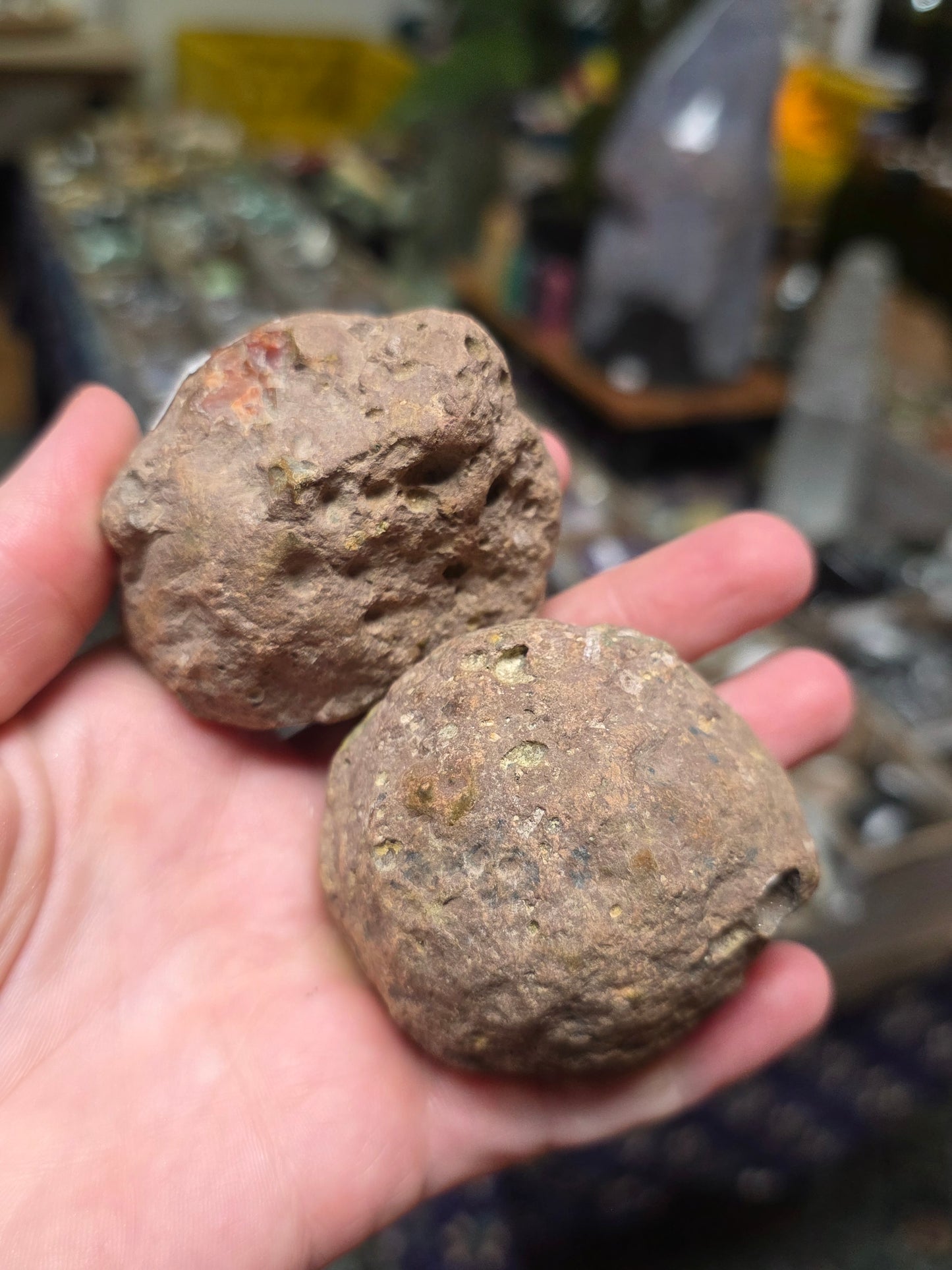 Fighting Blood Agate Pair