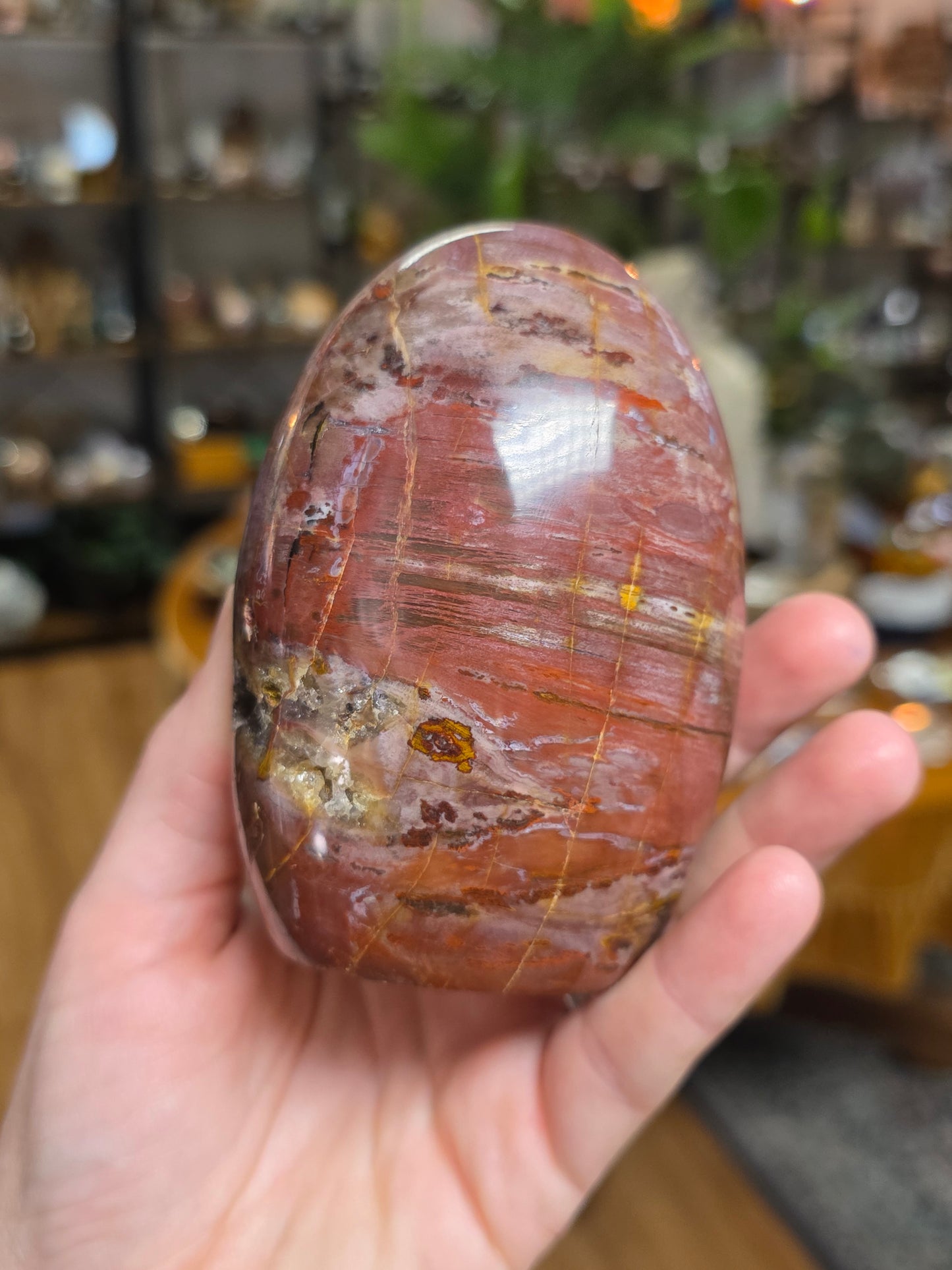 Petrified Wood Freeform