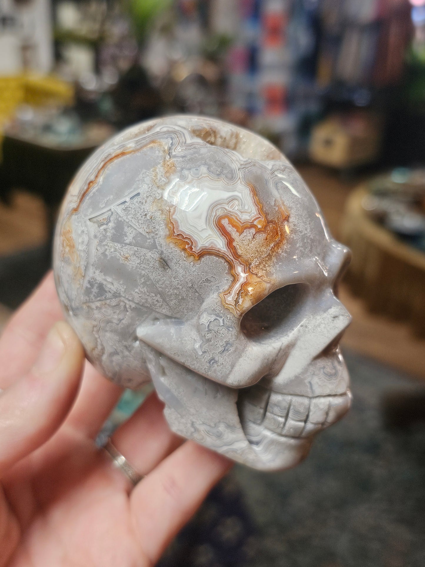 Laguna Lace Agate Skull