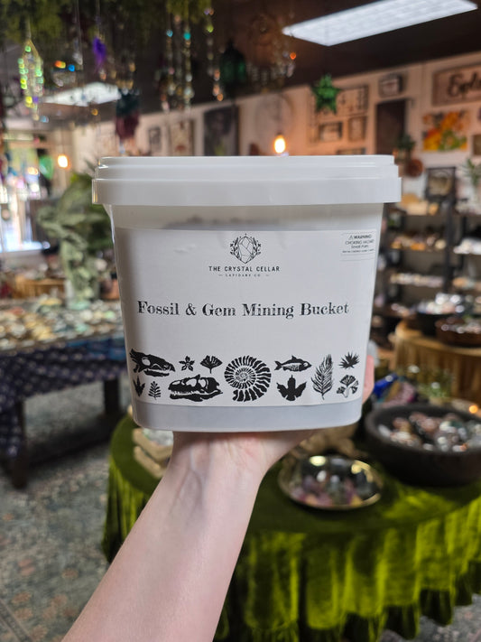Large Fossil and Gemstone Mining Bucket