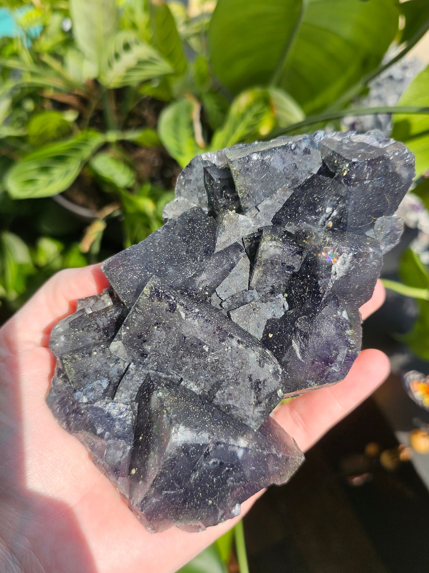 Daylight UV Reactive Fluorite