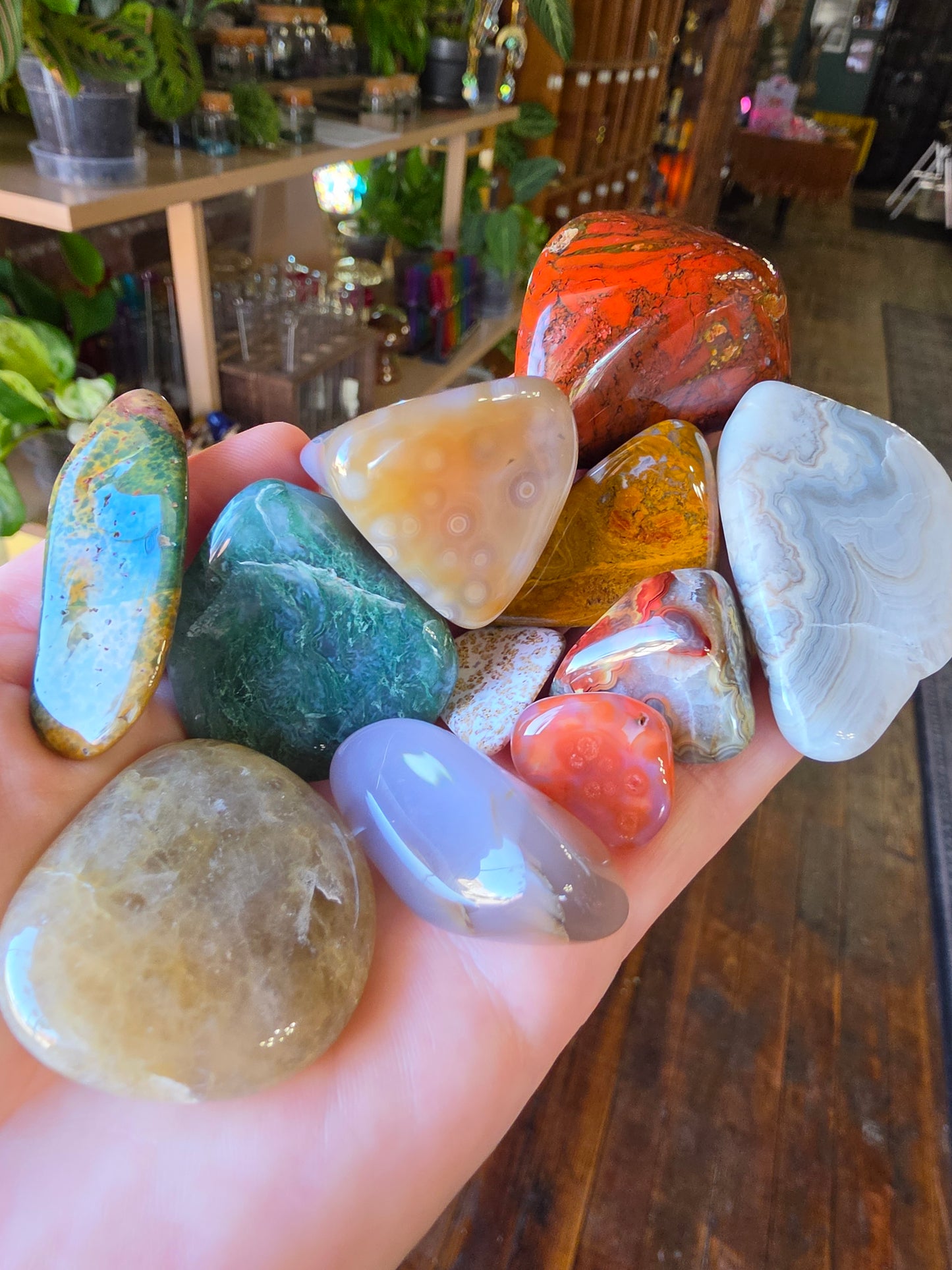 Mixed Tumble Lot #5