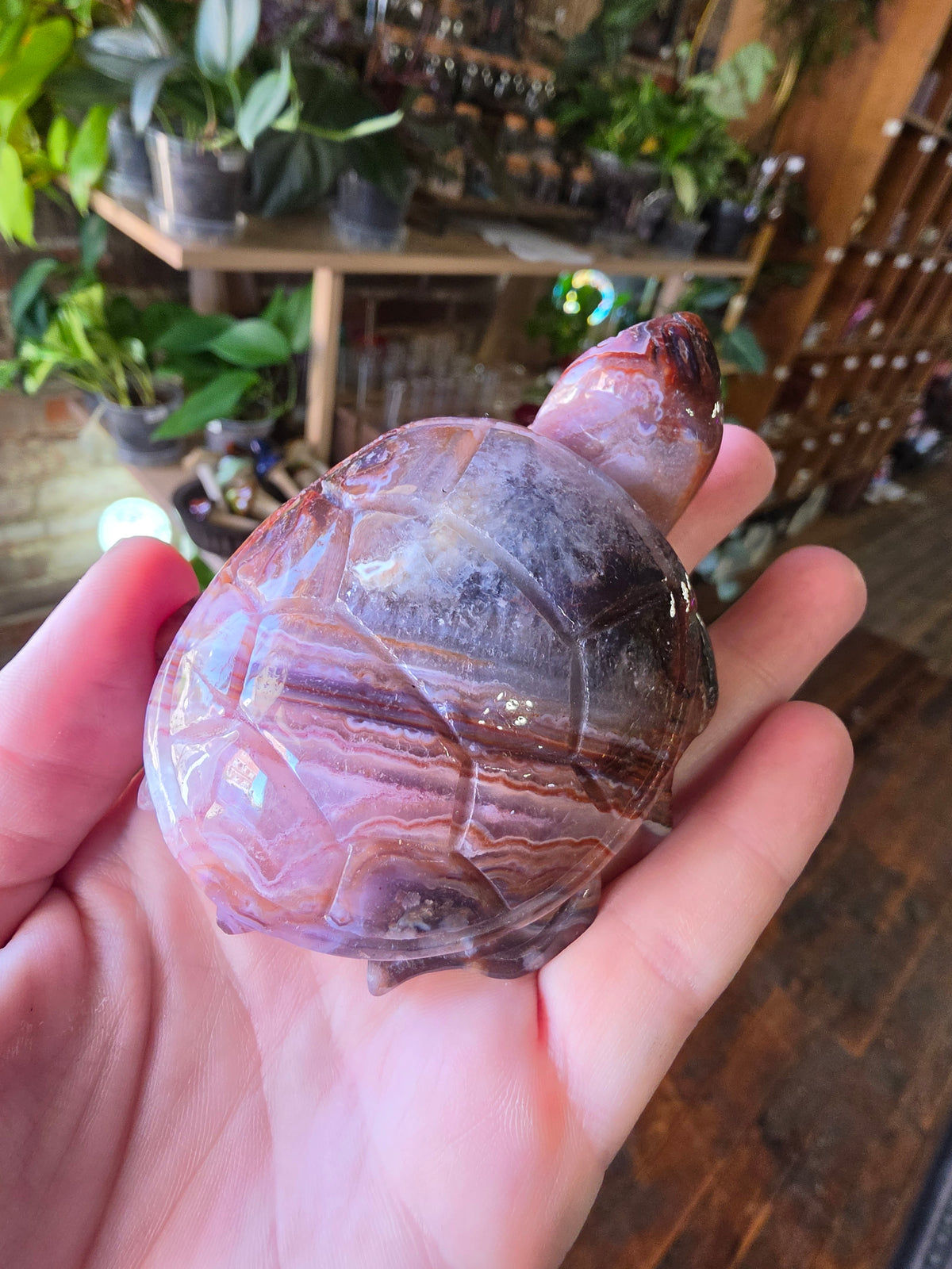 Amethyst Agate Turtle Carving