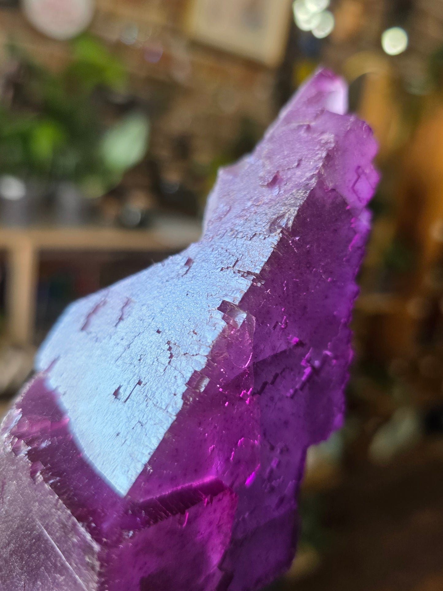 Illinois Fluorite