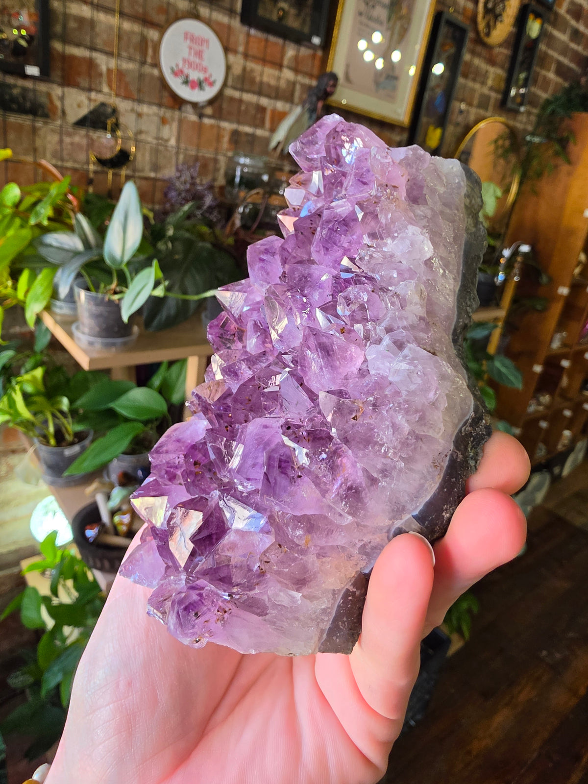 Cut Base Amethyst Cluster
