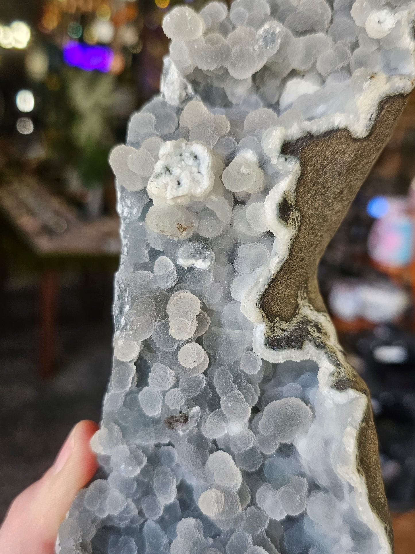 Botryoidal Chalcedony Freeform