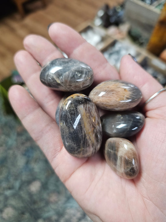 Tanzanian Black Sunstone Tumble