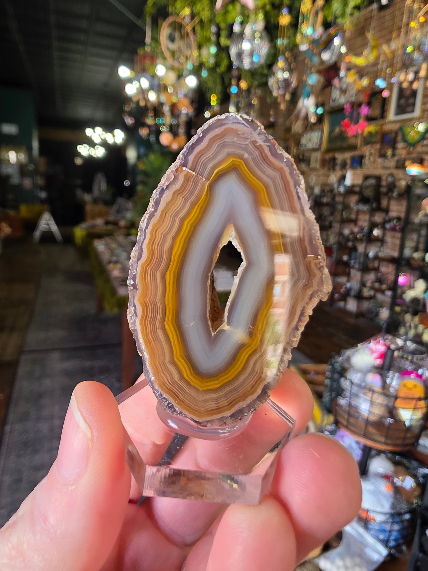 Coyamito Agate Slab