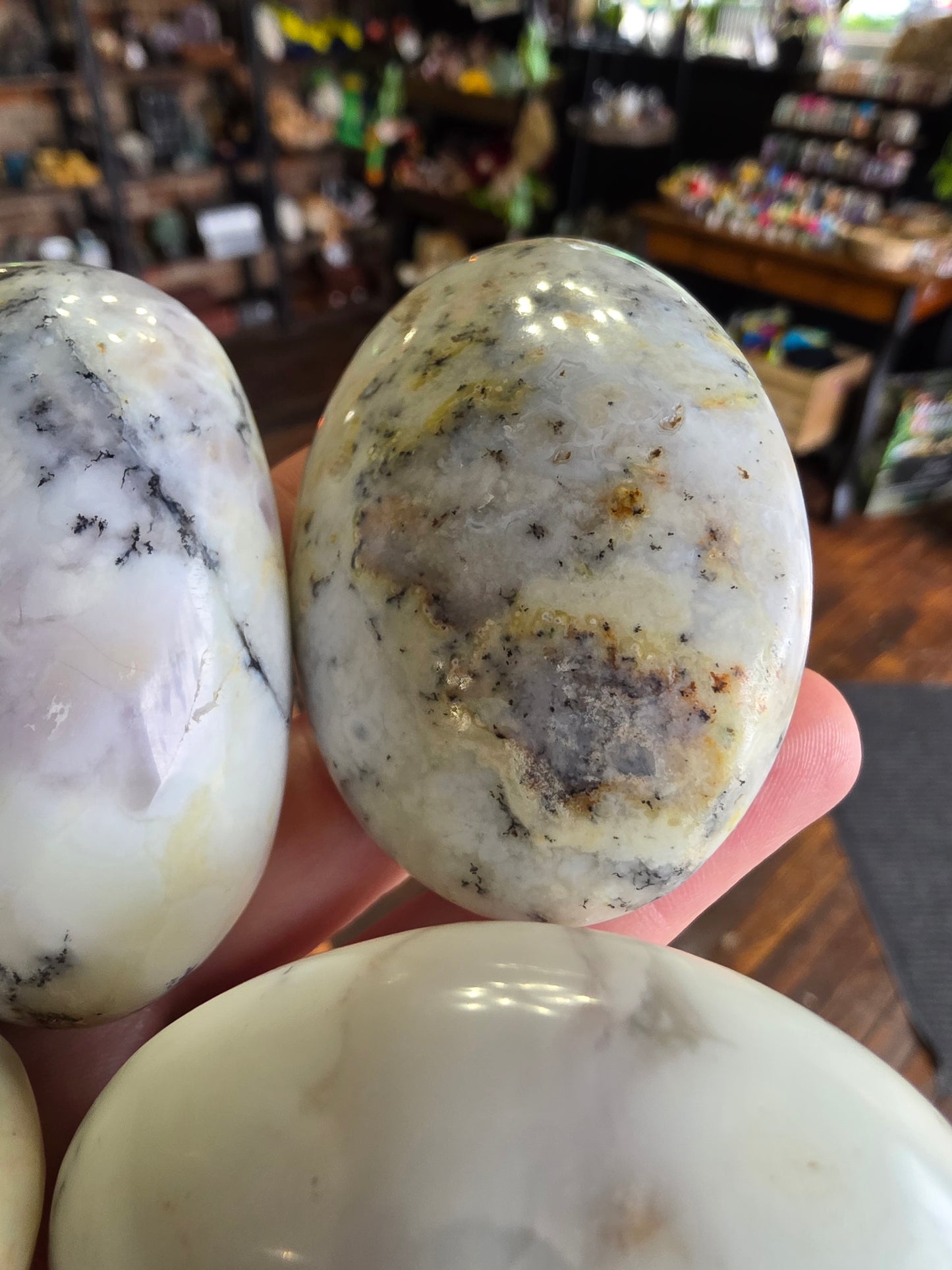 Dendritic Common Opal Palm Stone