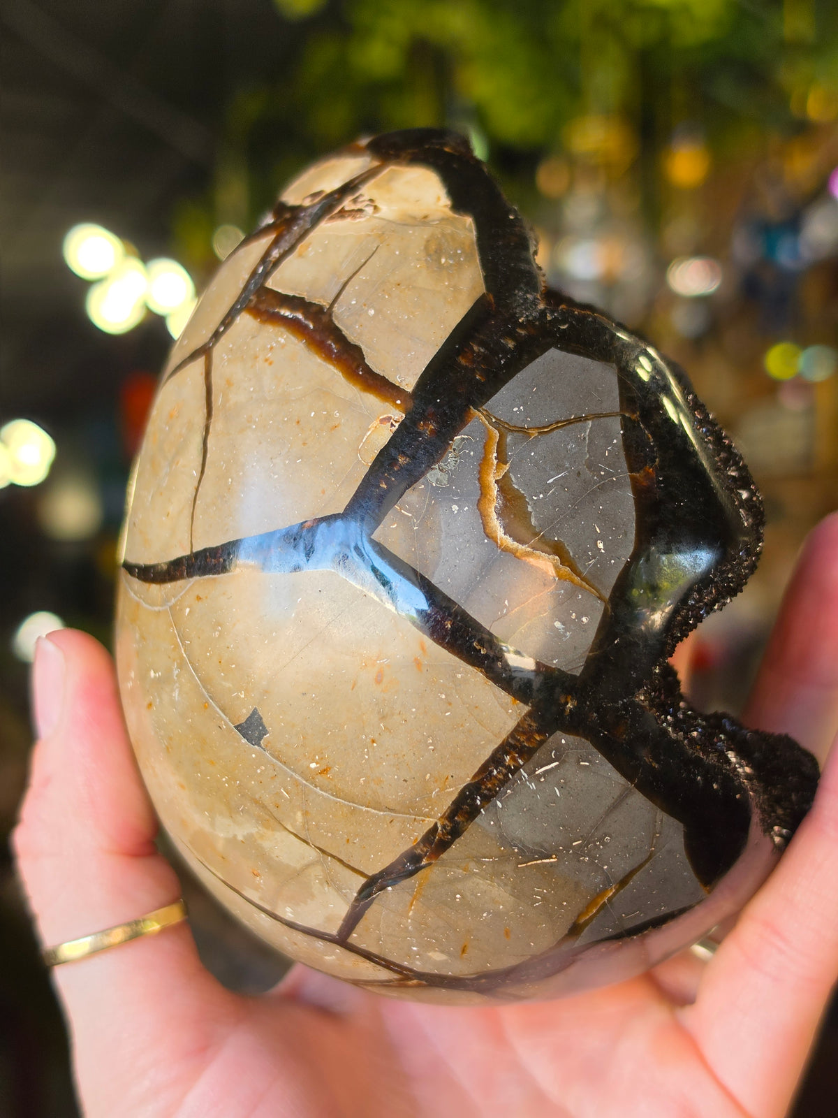 Septarian Nodule Egg