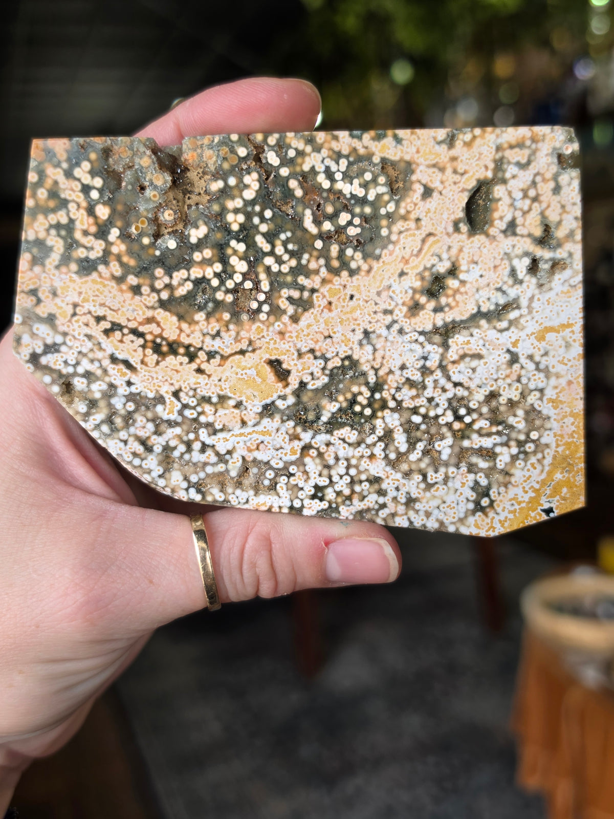 Ocean Jasper Polished Slab
