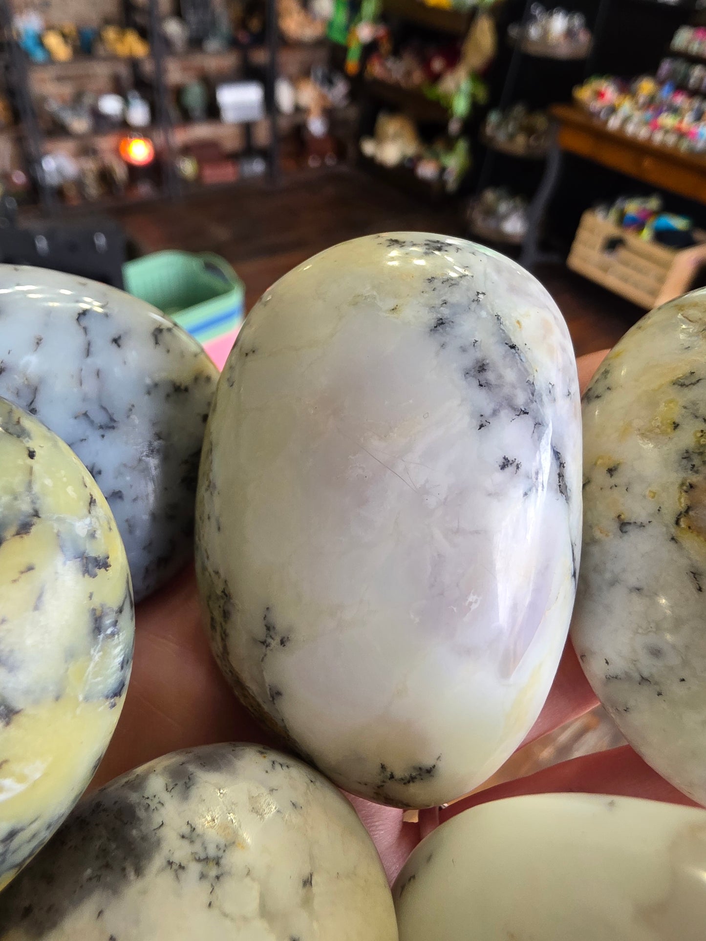 Dendritic Common Opal Palm Stone