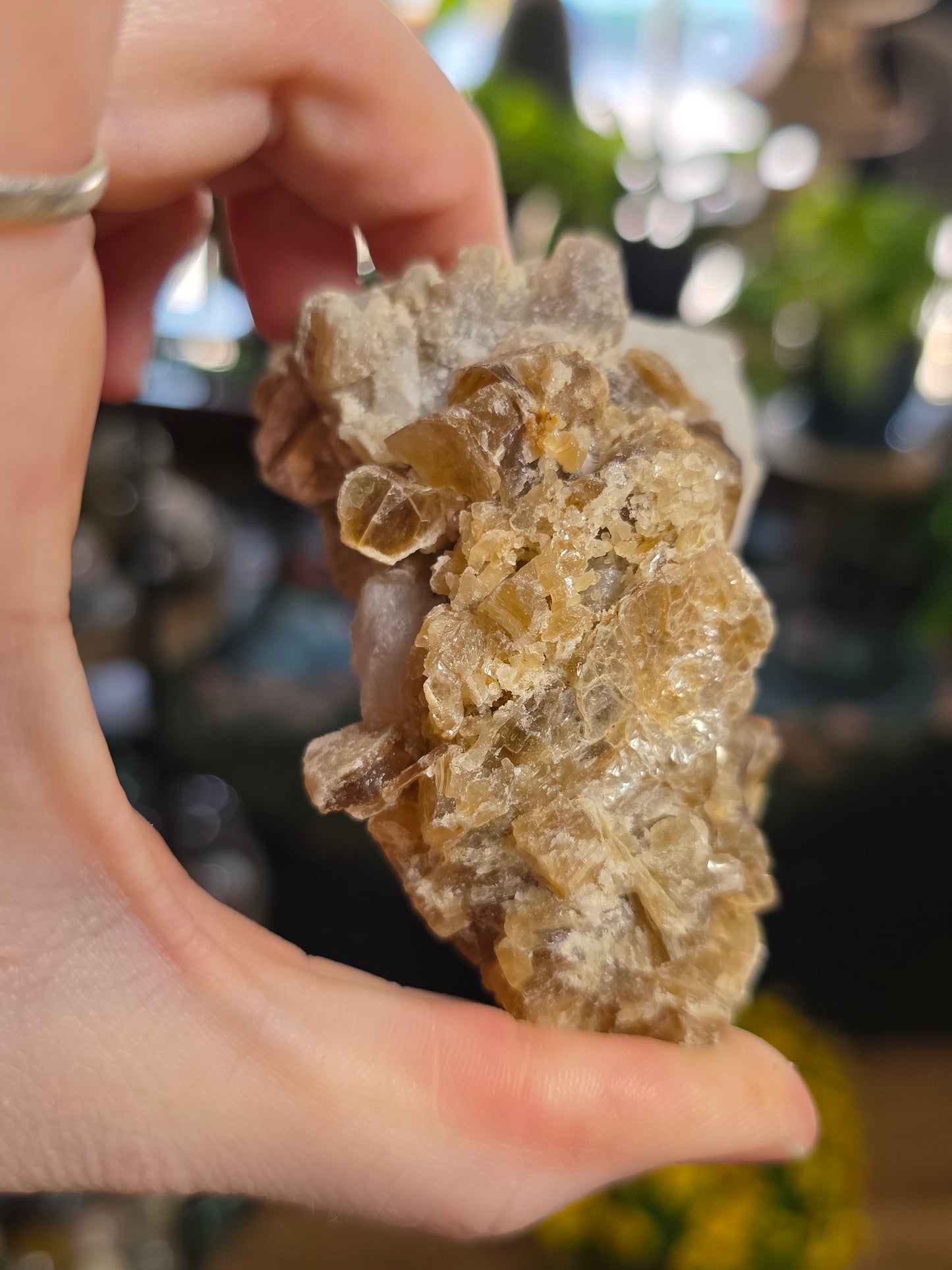 Hackmanite and Golden Mica on Albite