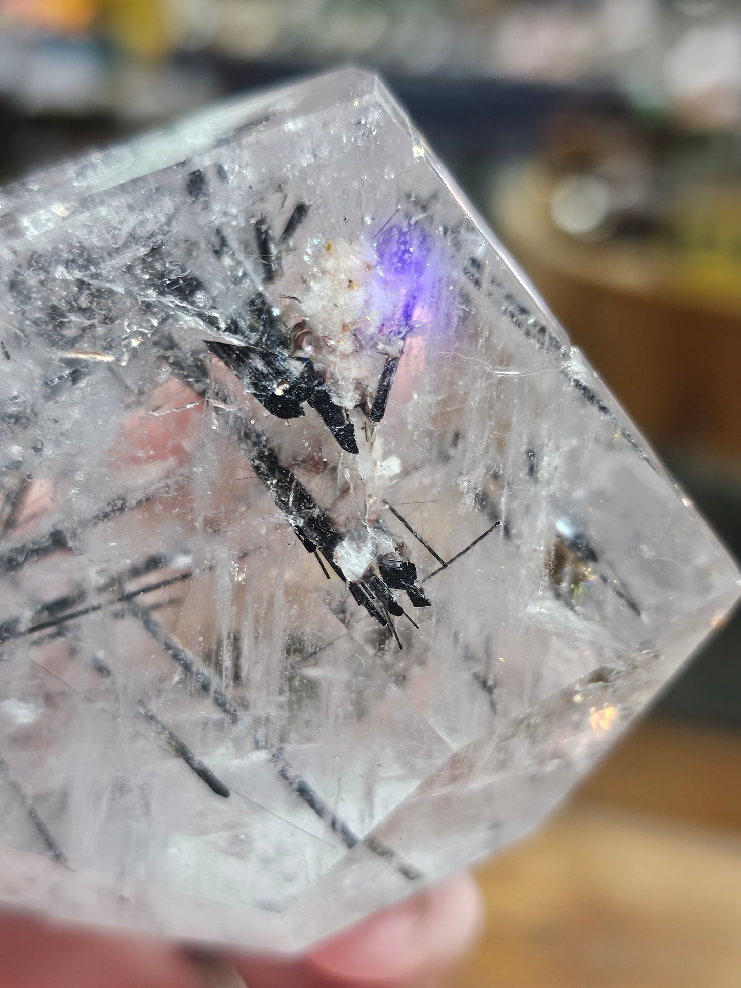 Black Tourmaline in Quartz Freeform