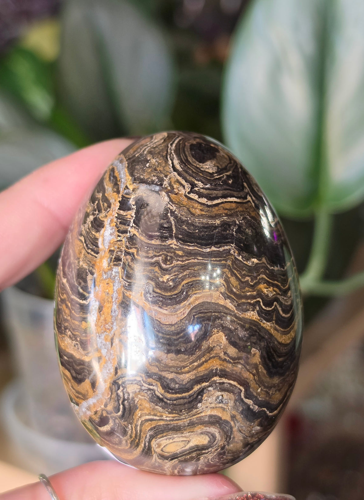 Stromatolite Egg