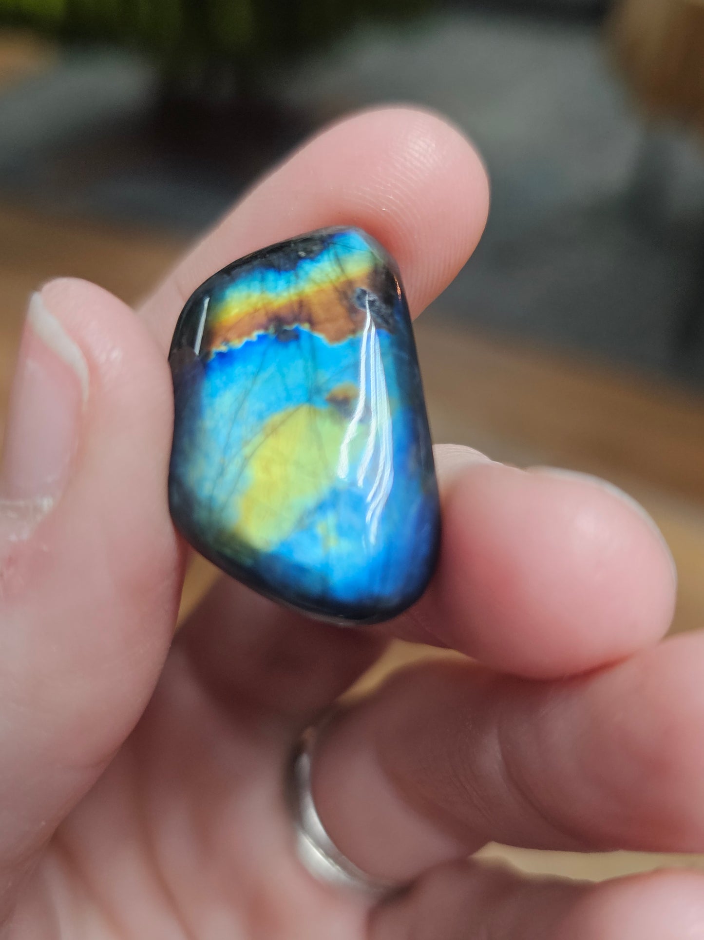 Finnish Spectrolite