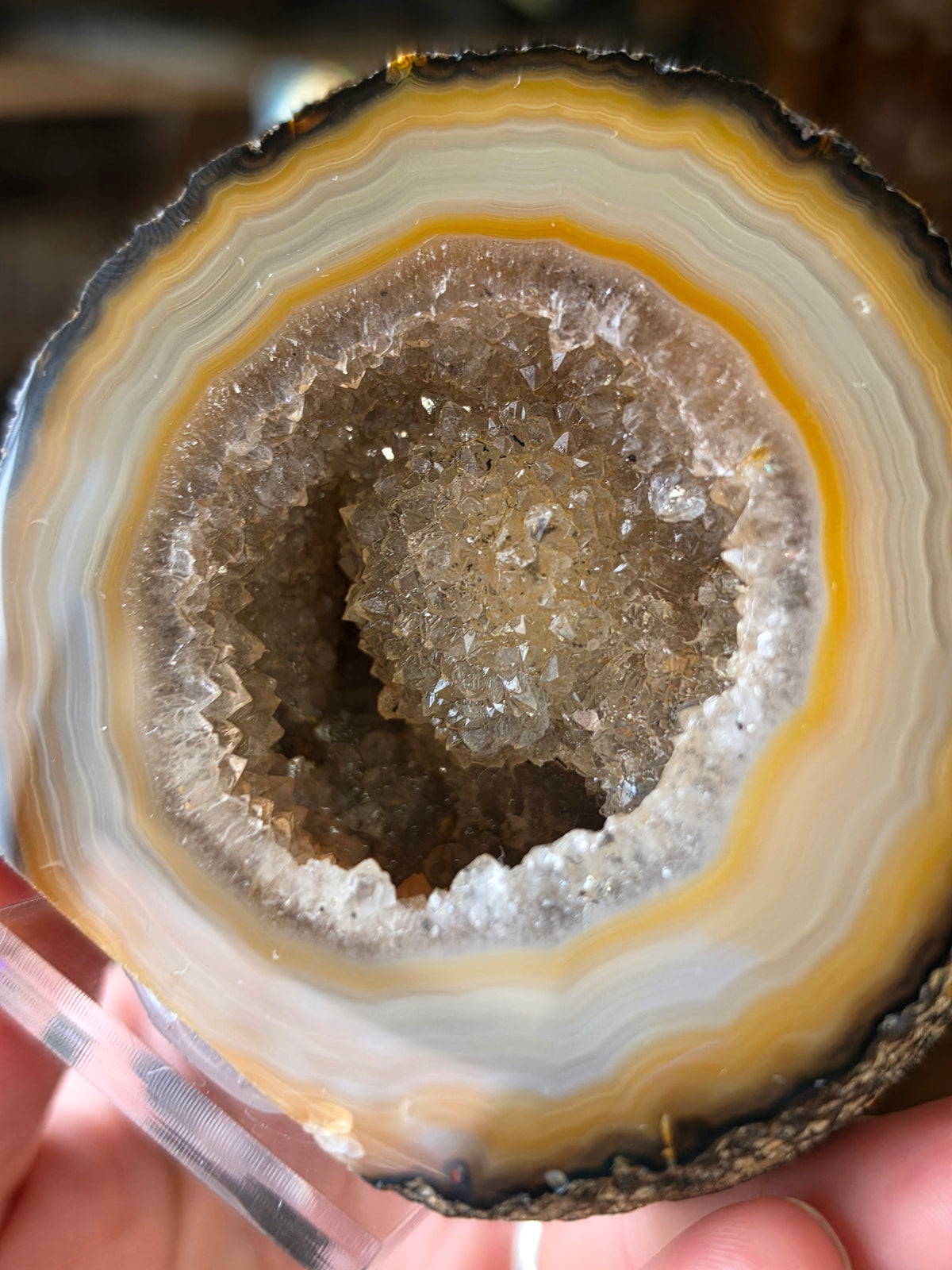 Brazilian Agate Halve