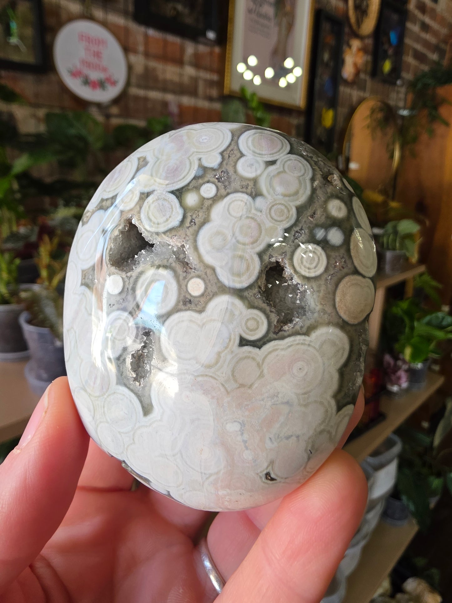 Large Druzy 8th Vein Ocean Jasper Palm Stone