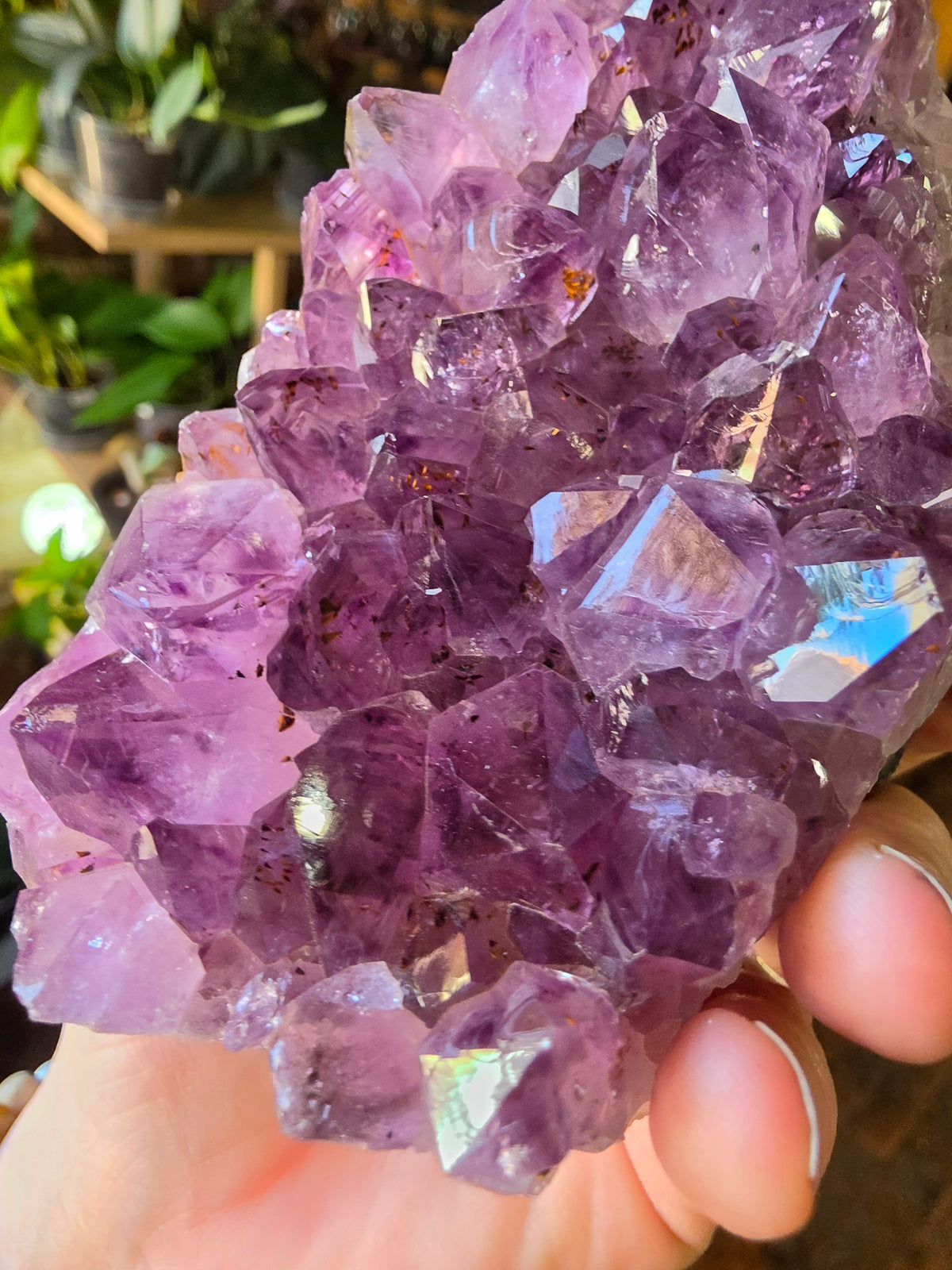 Cut Base Amethyst Cluster