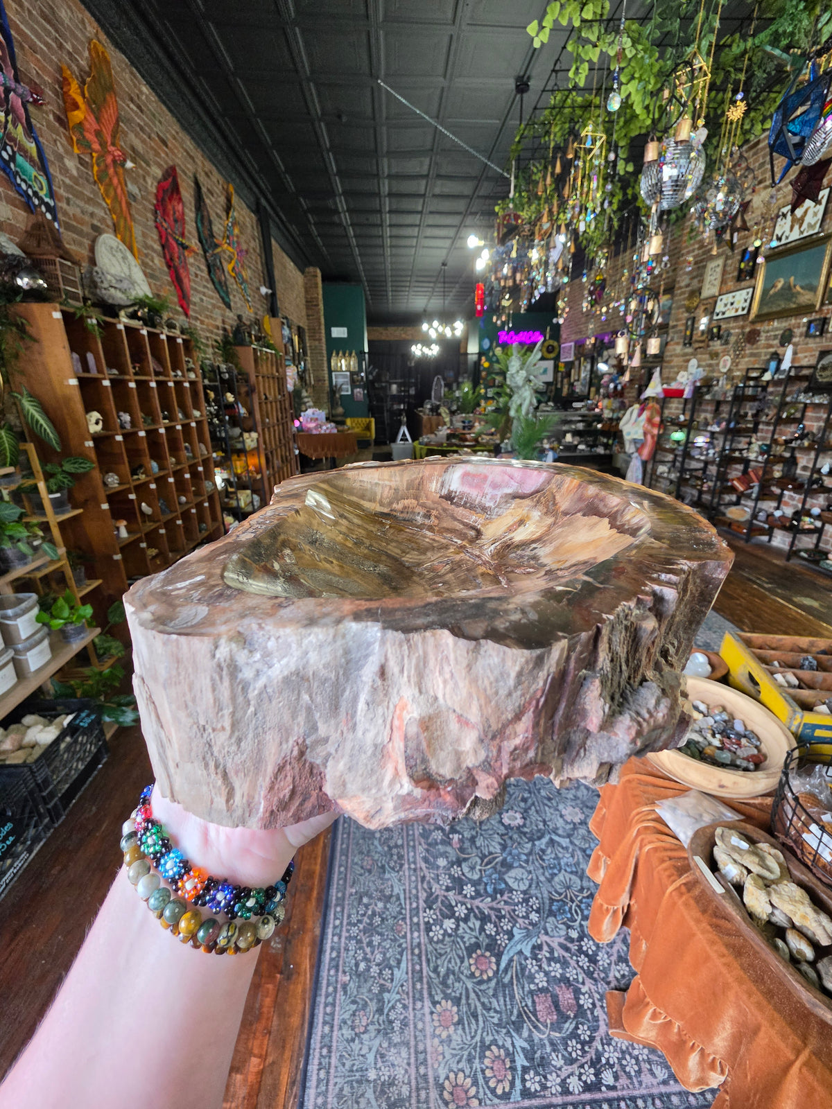 Petrified Wood Bowl