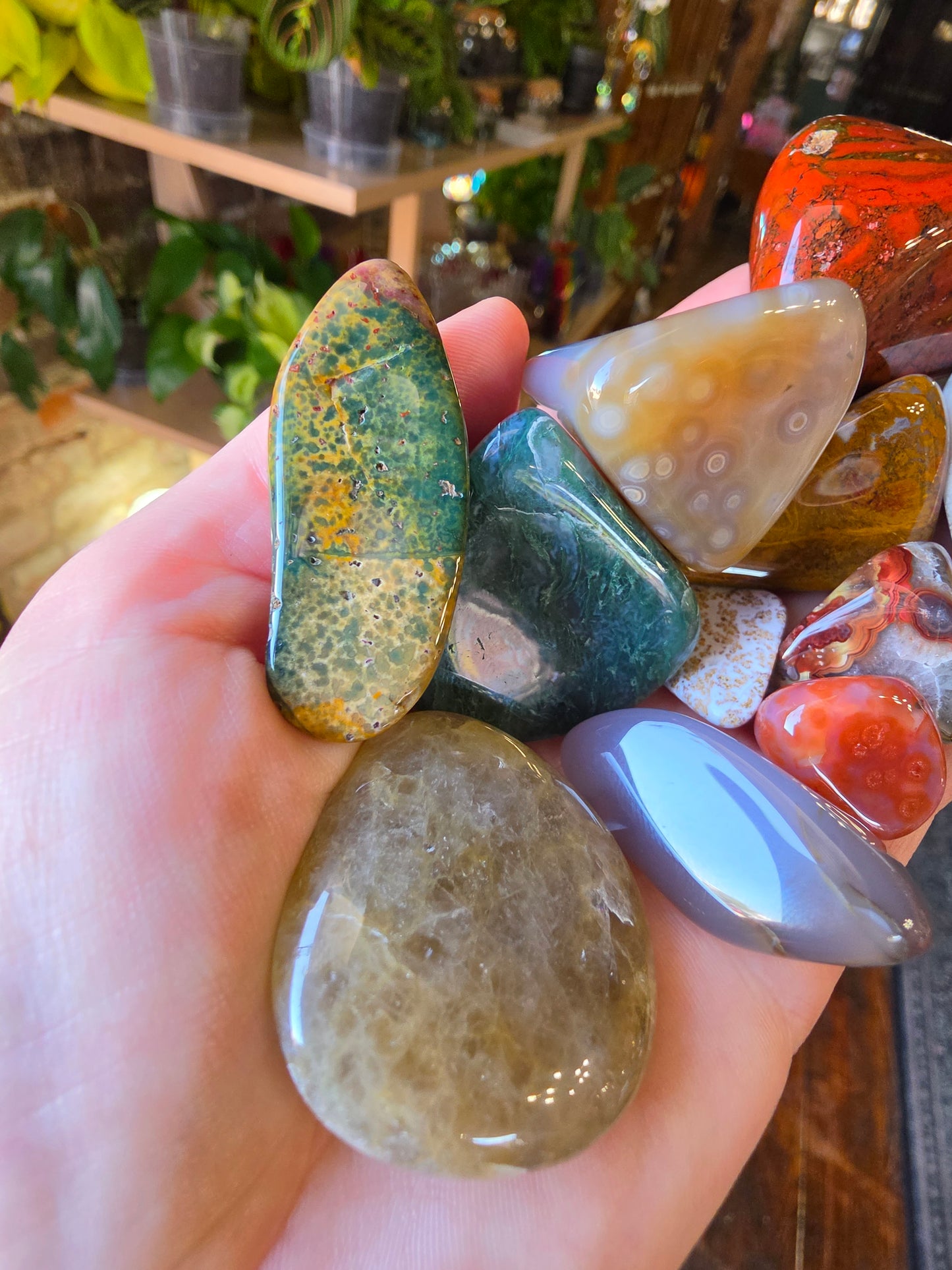Mixed Tumble Lot #5