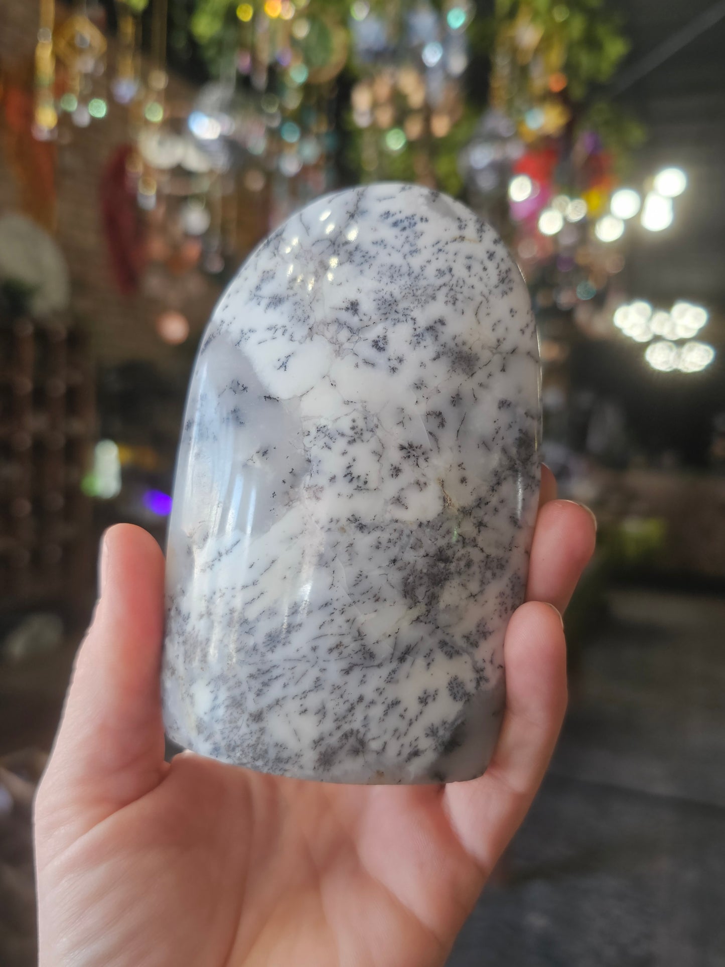 Dendritic Common Opal Freeform