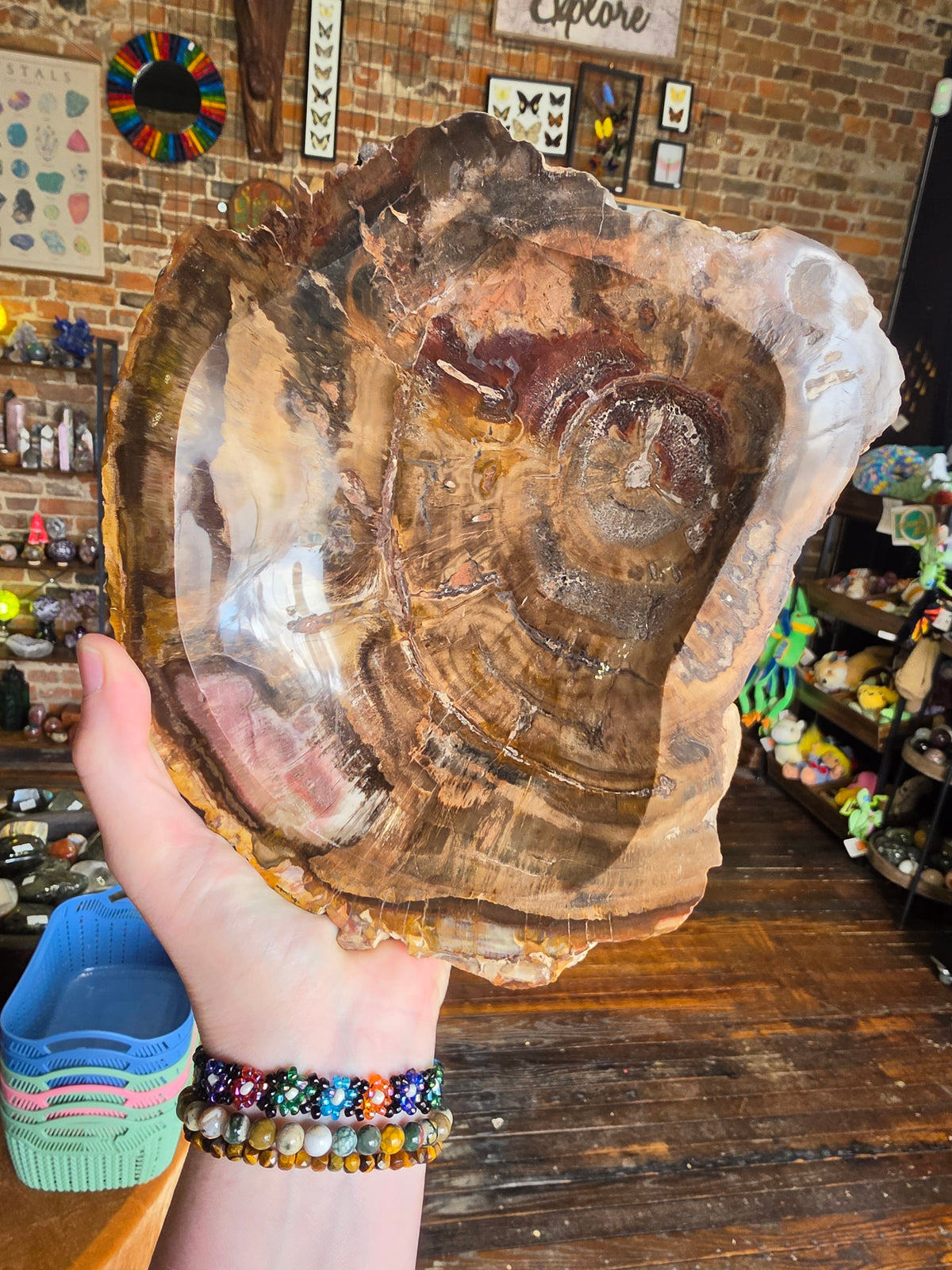 Petrified Wood Bowl
