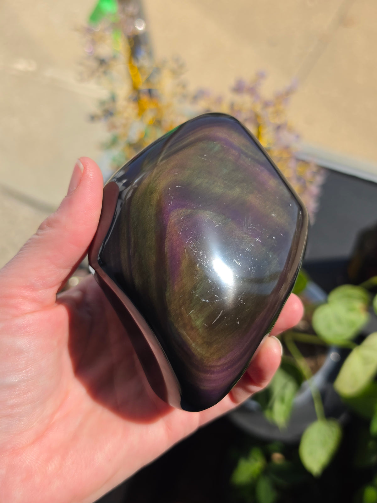 Rainbow Obsidian Freeform