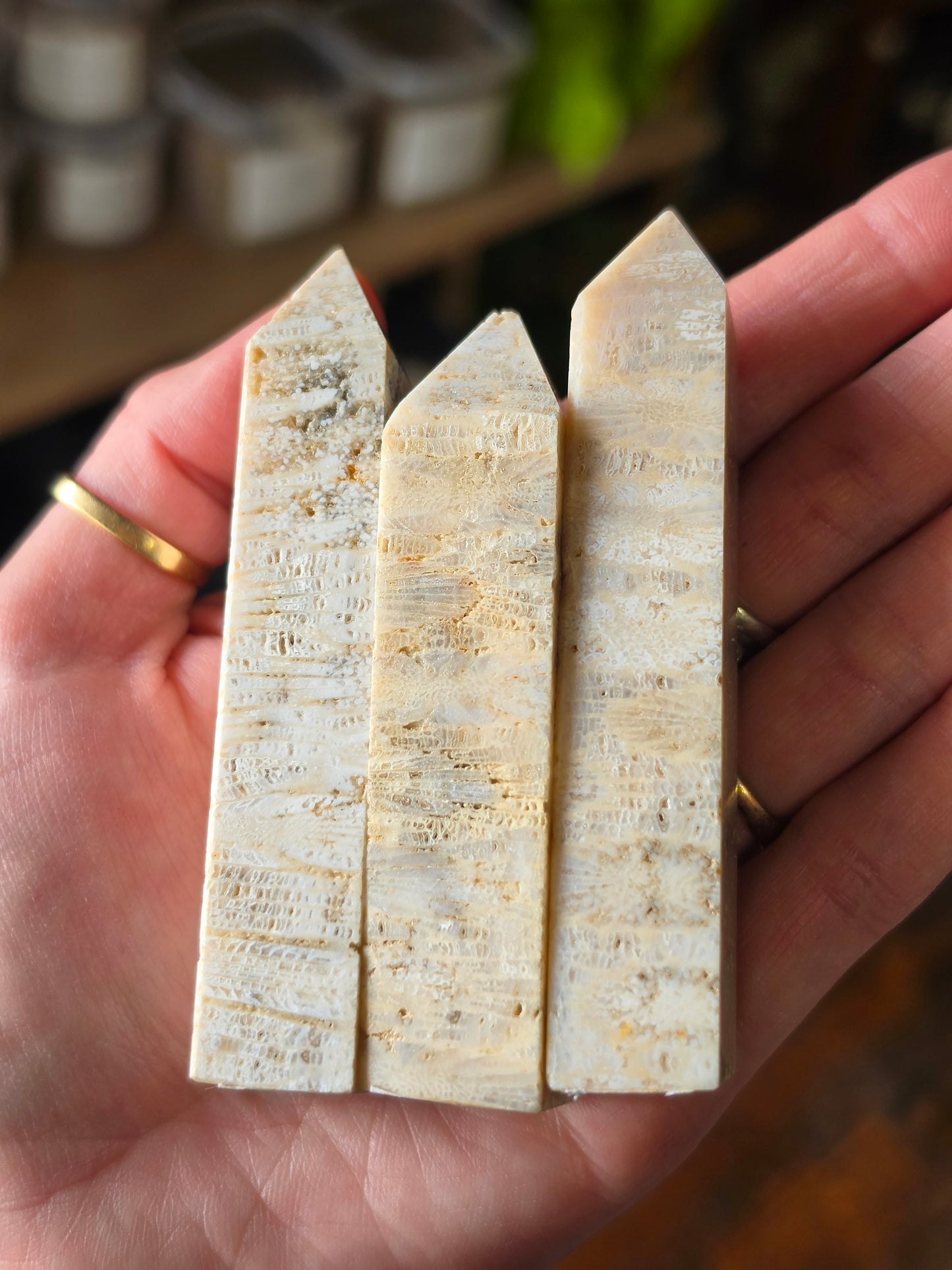 Coral Jade Point