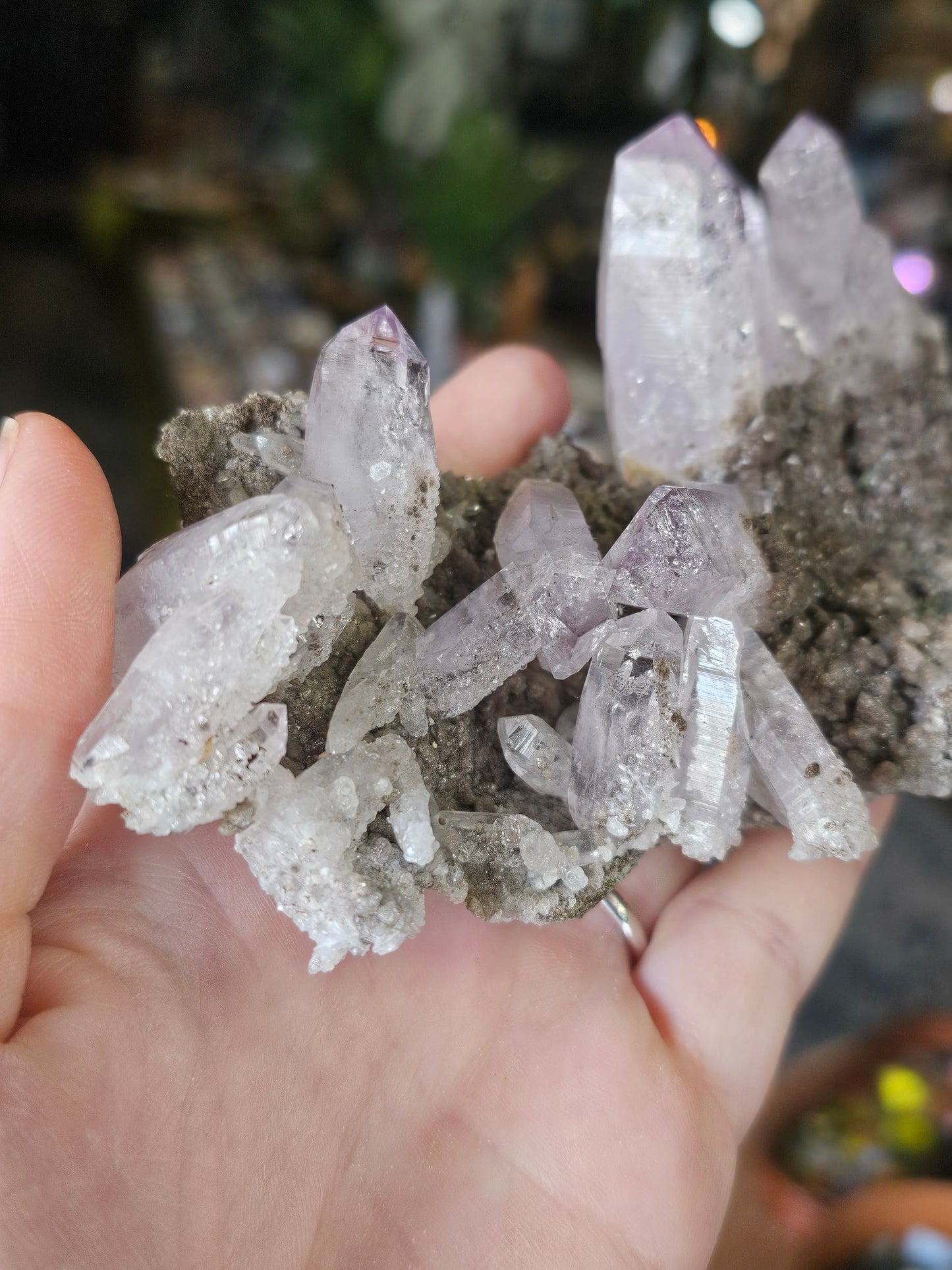 Vera Cruz Amethyst