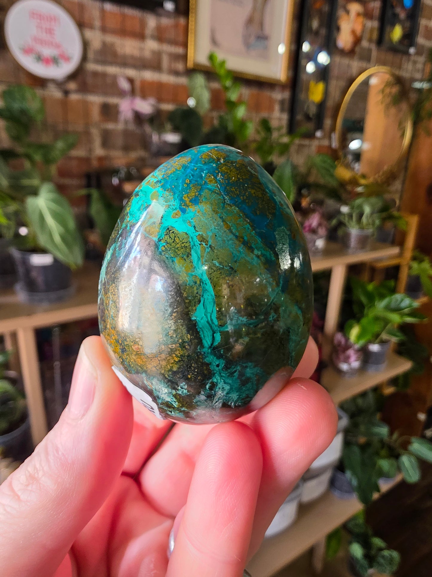 Chrysocolla and Cuprite Egg