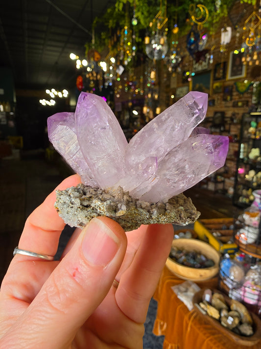 Vera Cruz Amethyst on Dolomite