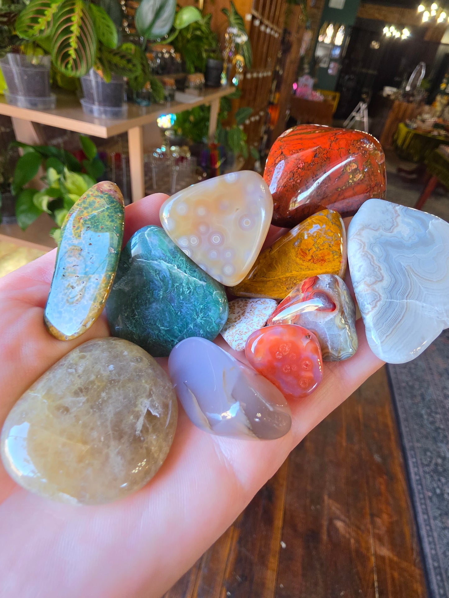 Mixed Tumble Lot #5