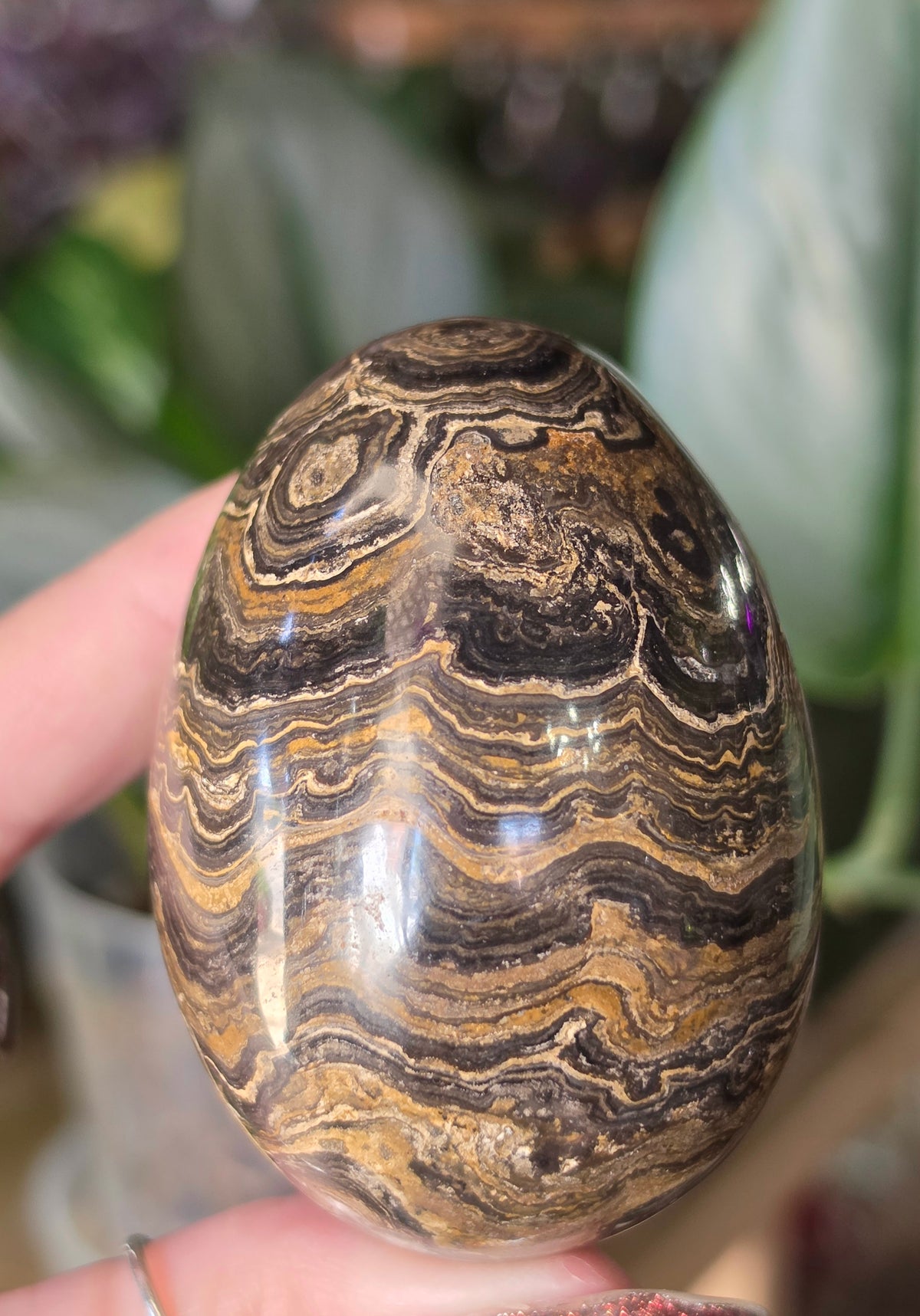 Stromatolite Egg