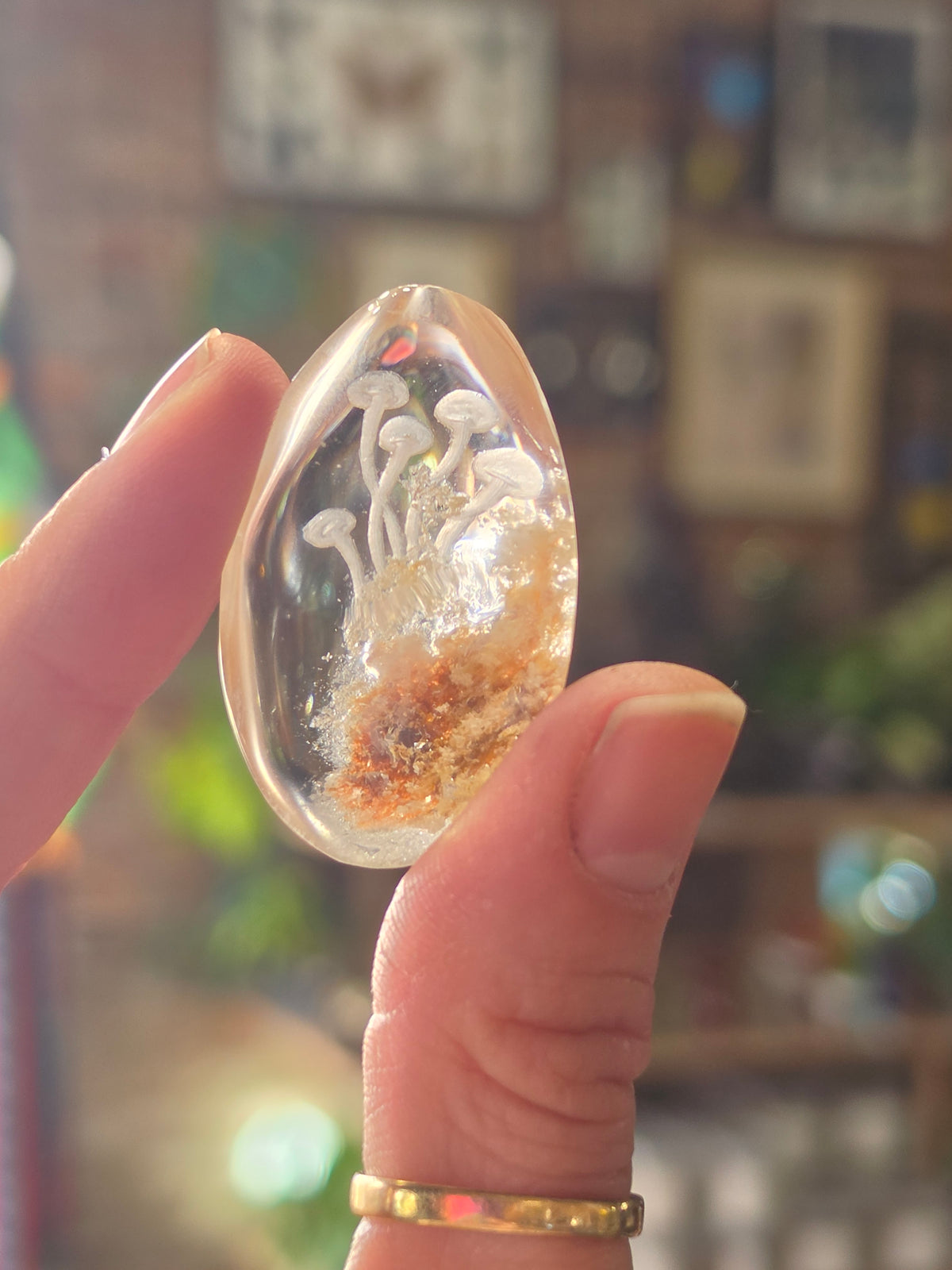 Mushroom Lazer Engraved Garden Quartz