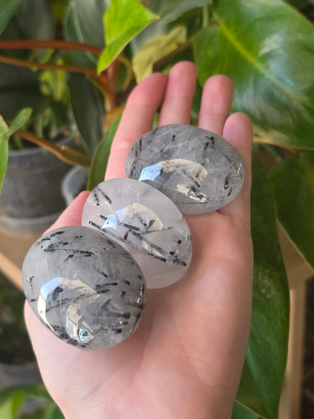 Black Tourmaline in Quartz Palmstone