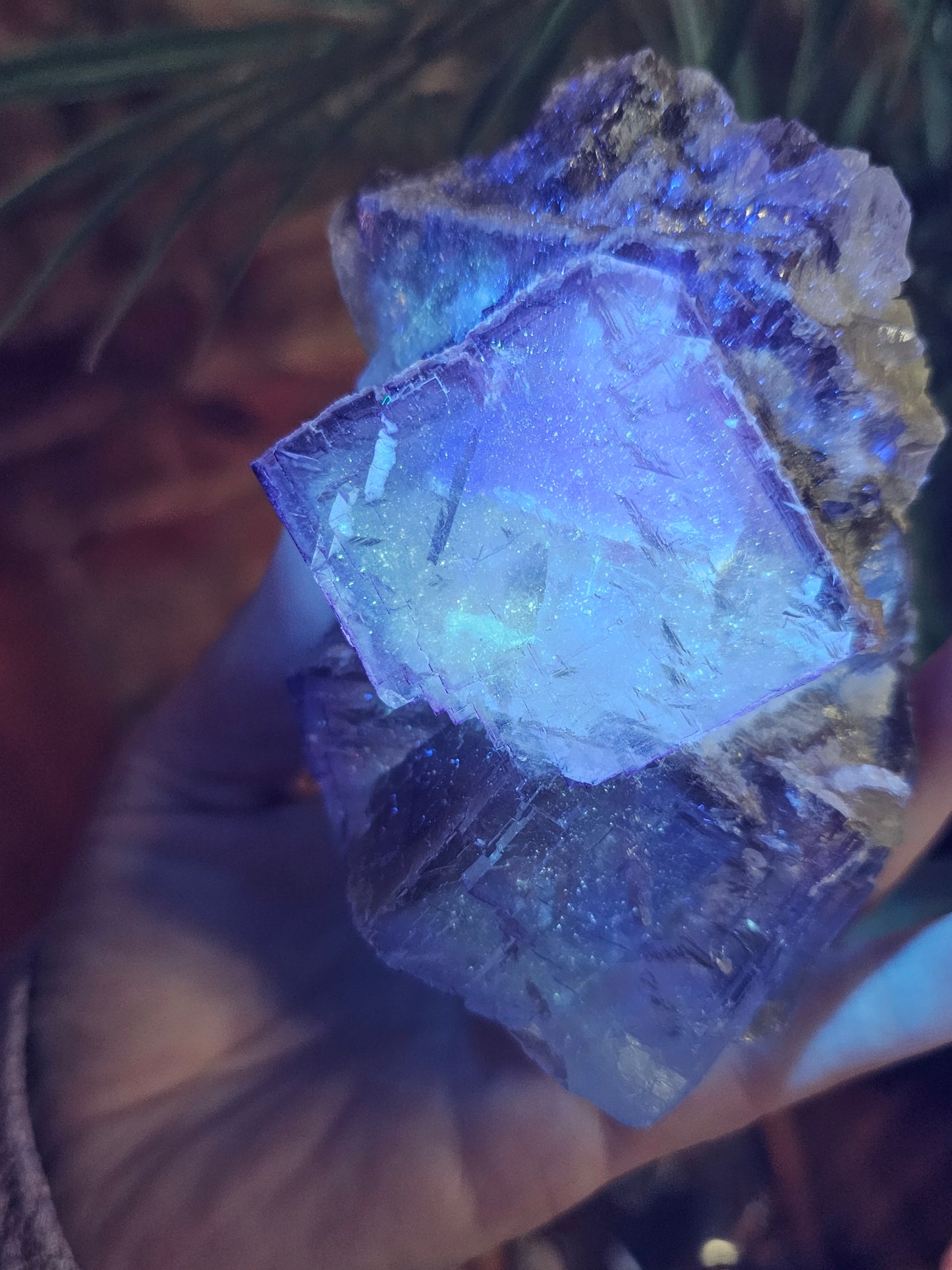 Purple Cubic Fluorite