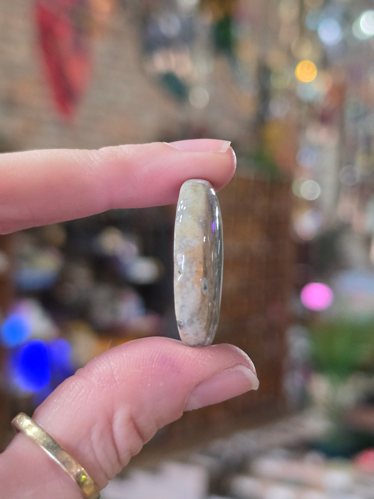 Ocean Jasper Cabochon