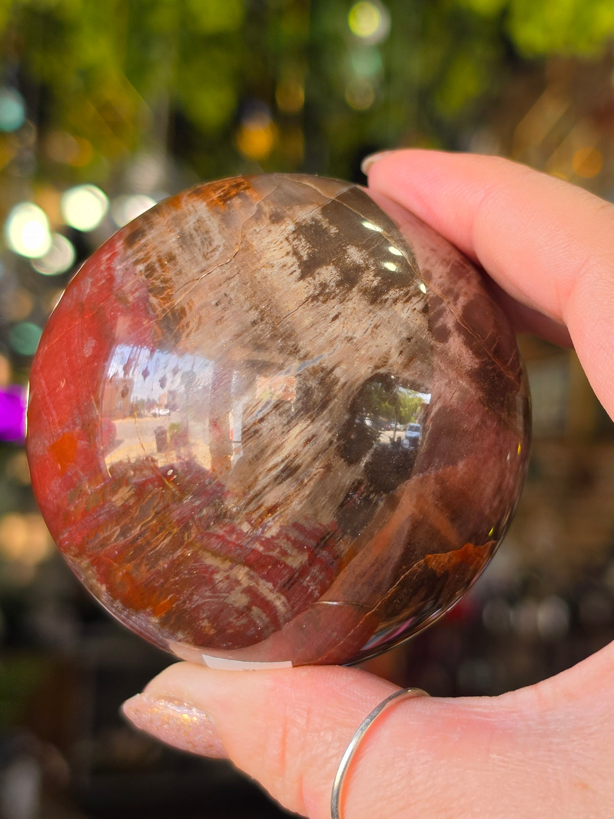 Petrified Wood Sphere
