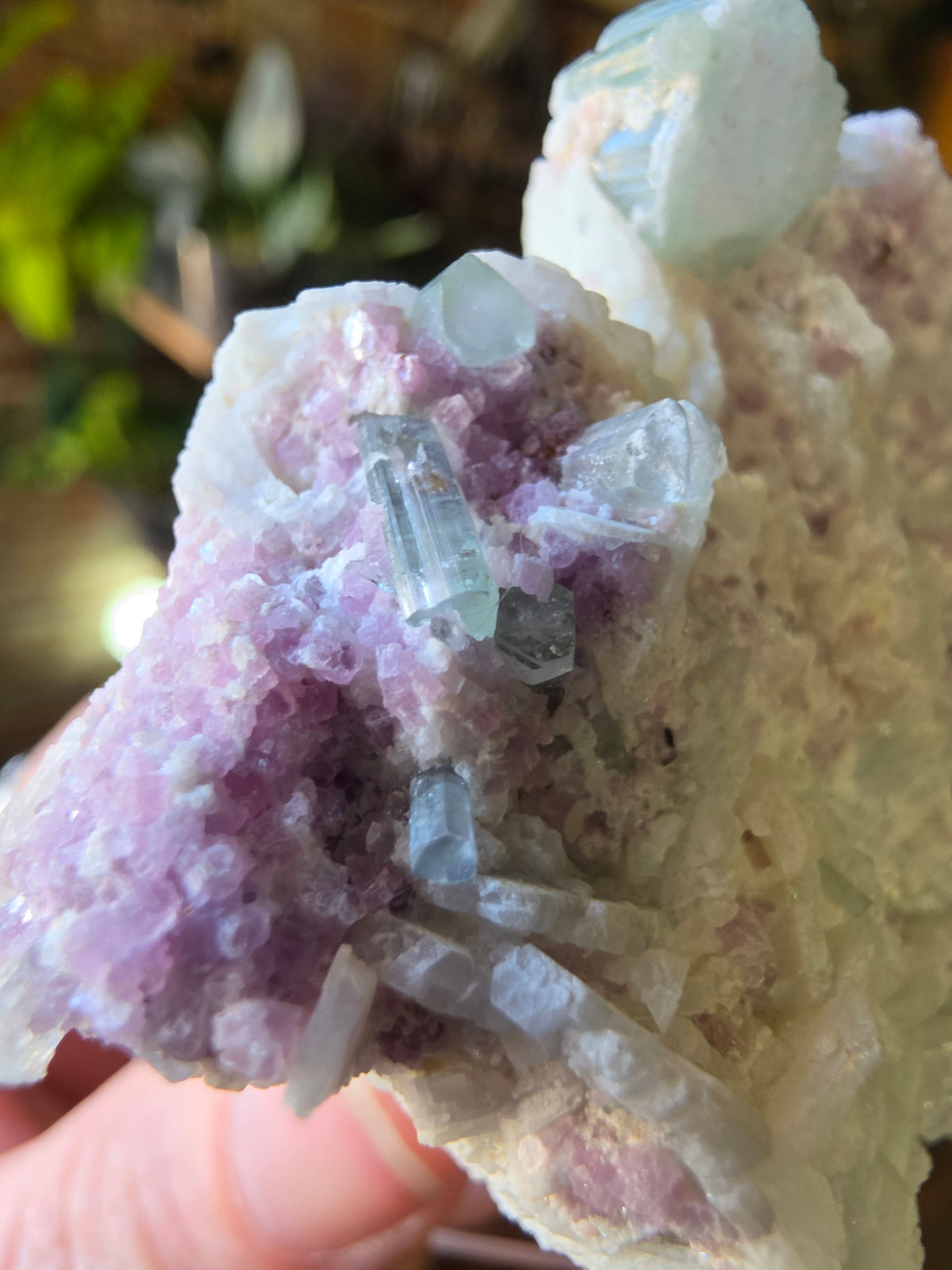 Blue Tourmaline and Lepidolite on Cleavlandite