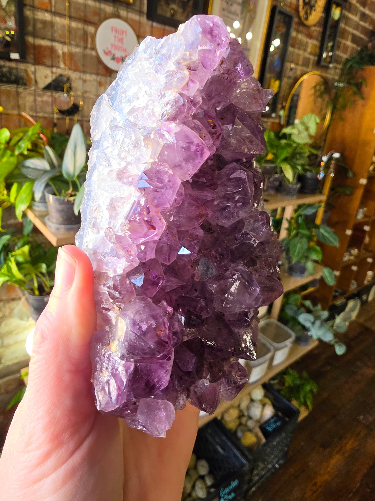 Cut Base Amethyst Cluster